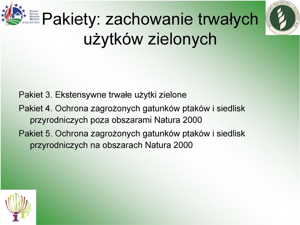 Ochrona zagrożonych gatunków ptaków i siedlisk przyrodniczych poza