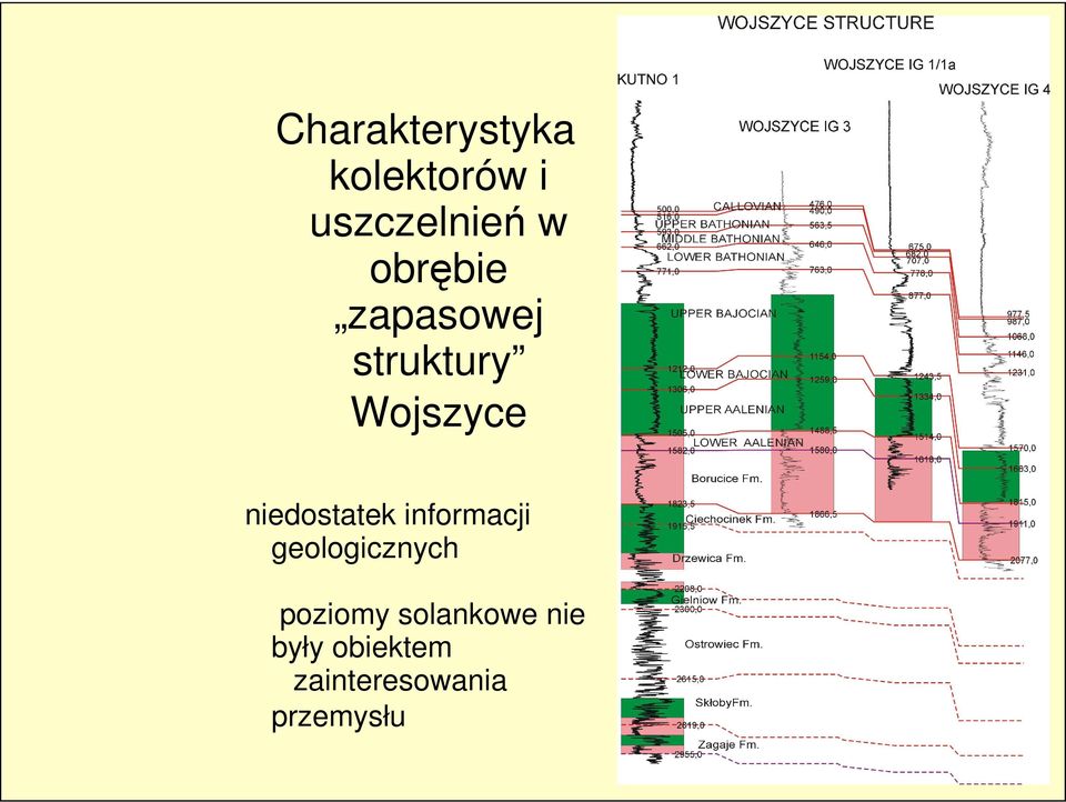 niedostatek informacji geologicznych poziomy