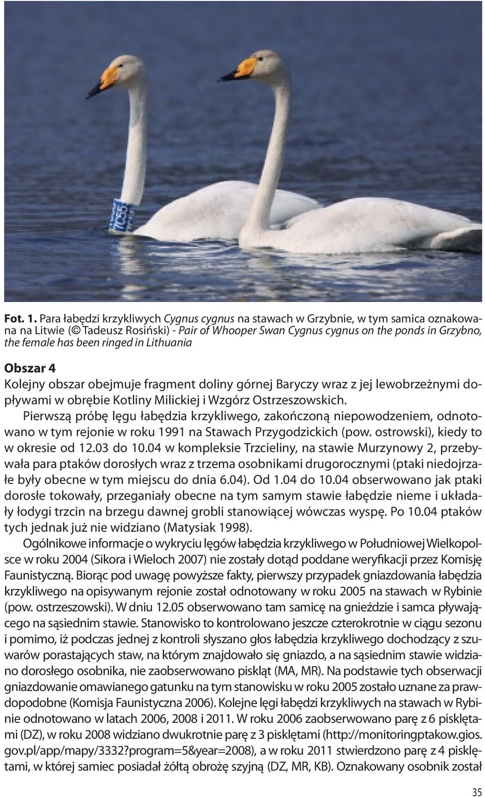 ringed in Lithuania Obszar 4 Kolejny obszar obejmuje fragment doliny górnej Baryczy wraz z jej lewobrzeżnymi dopływami w obrębie Kotliny Milickiej i Wzgórz Ostrzeszowskich.