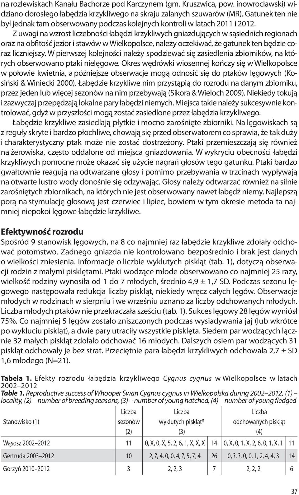 Z uwagi na wzrost liczebności łabędzi krzykliwych gniazdujących w sąsiednich regionach oraz na obfitość jezior i stawów w Wielkopolsce, należy oczekiwać, że gatunek ten będzie coraz liczniejszy.