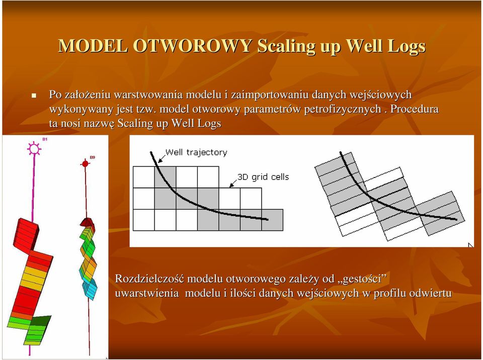 model otworowy parametrów w petrofizycznych.