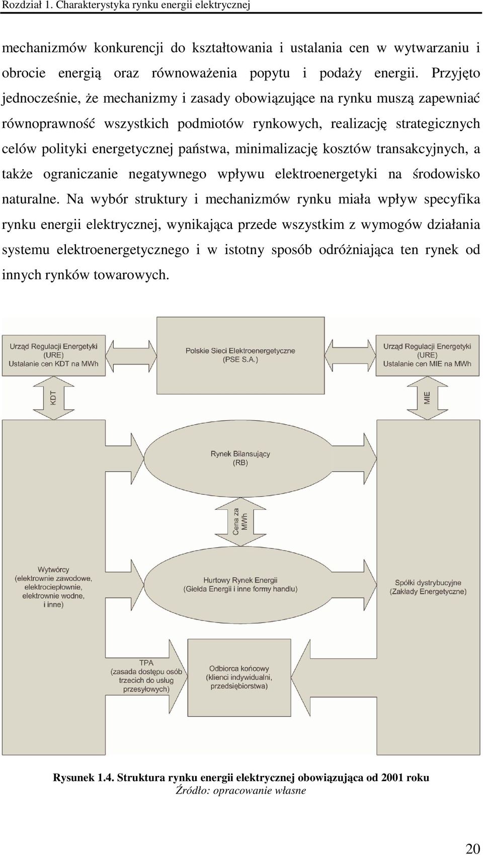 minimalizację kosztów transakcyjnych, a także ograniczanie negatywnego wpływu elektroenergetyki na środowisko naturalne.