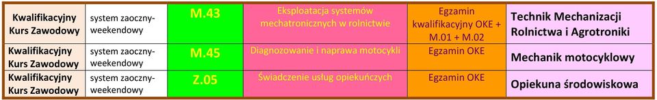 05 Świadczenie usług opiekuńczych OKE Mechanizacji