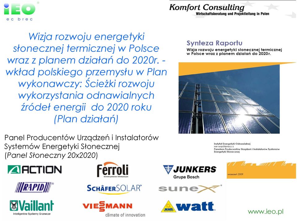 - wkład polskiego przemysłu w Plan wykonawczy: Ścieżki rozwoju wykorzystania