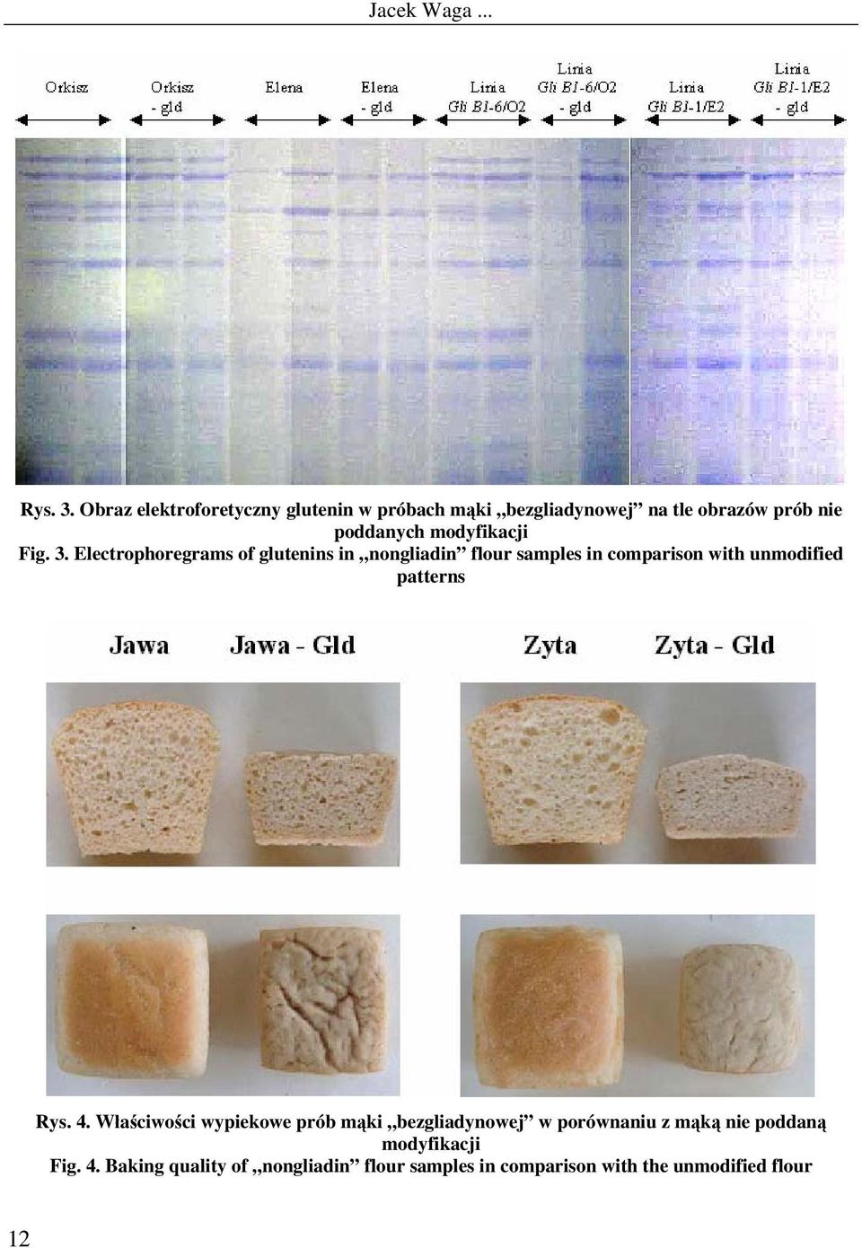 modyfikacji Fig. 3.