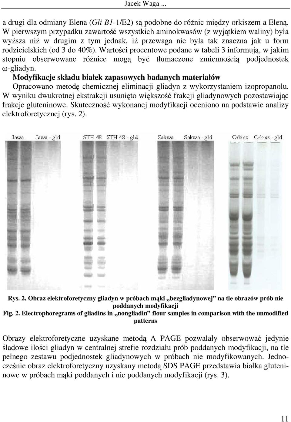 Wartości procentowe podane w tabeli 3 informują, w jakim stopniu obserwowane różnice mogą być tłumaczone zmiennością podjednostek ω-gliadyn.