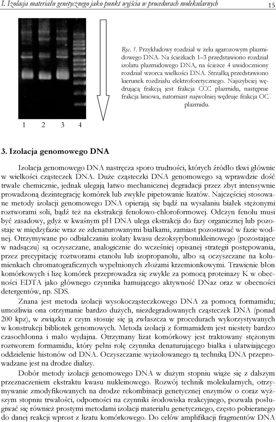 Najszybciej wędrującą frakcją jest frakcja CCC plazmidu, następnie frakcja liniowa, natomiast najwolniej wędruje frakcja OC plazmidu. 1 2 3 4 3.