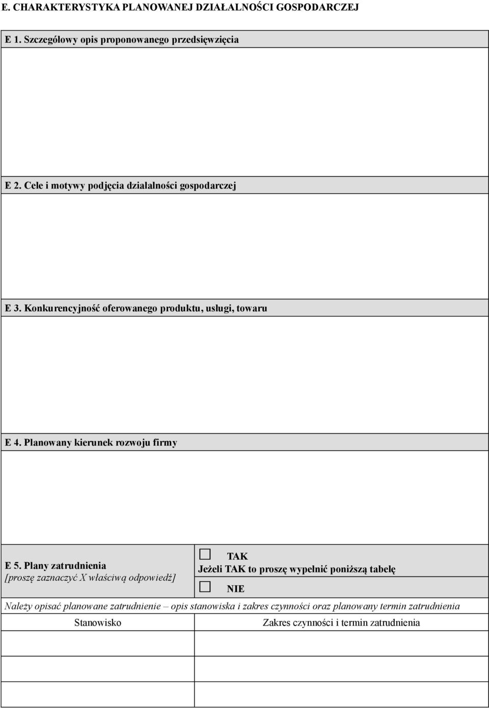 Planowany kierunek rozwoju firmy E 5.