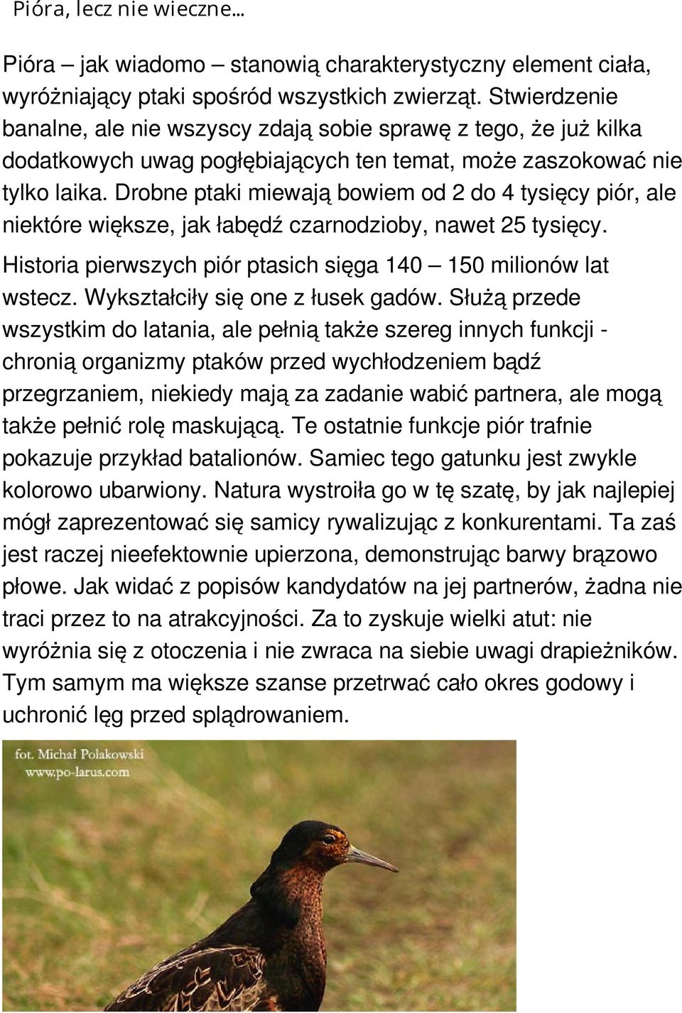 Drobne ptaki miewają bowiem od 2 do 4 tysięcy piór, ale niektóre większe, jak łabędź czarnodzioby, nawet 25 tysięcy. Historia pierwszych piór ptasich sięga 140 150 milionów lat wstecz.