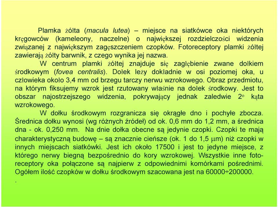 Dołek leży dokładnie w osi poziomej oka, u człowieka około 3,4 mm od brzegu tarczy nerwu wzrokowego. Obraz przedmiotu, na którym fiksujemy wzrok jest rzutowany właśnie na dołek środkowy.