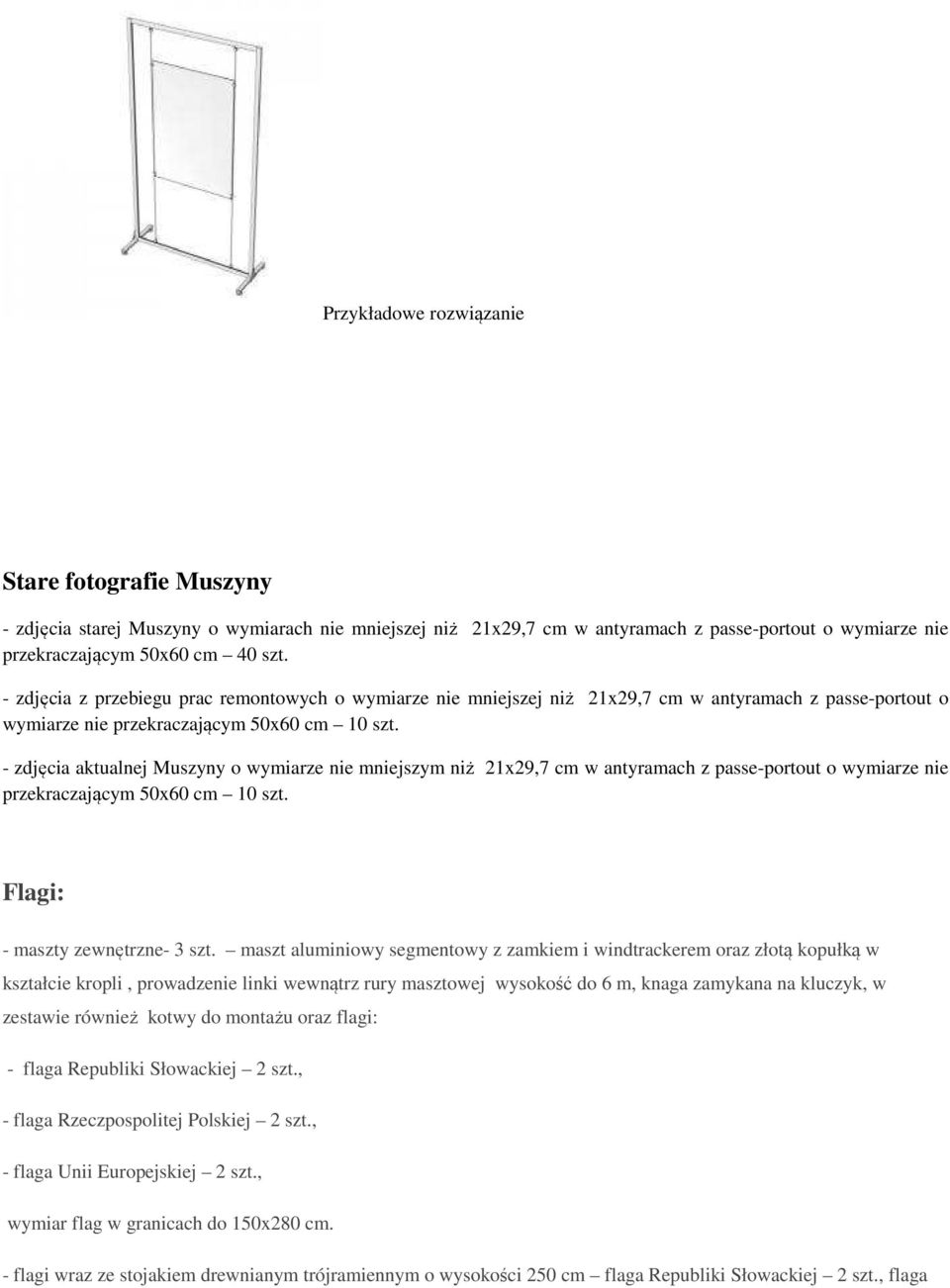 - zdjęcia aktualnej Muszyny o wymiarze nie mniejszym niż 21x29,7 cm w antyramach z passe-portout o wymiarze nie przekraczającym 50x60 cm 10 szt. Flagi: - maszty zewnętrzne- 3 szt.