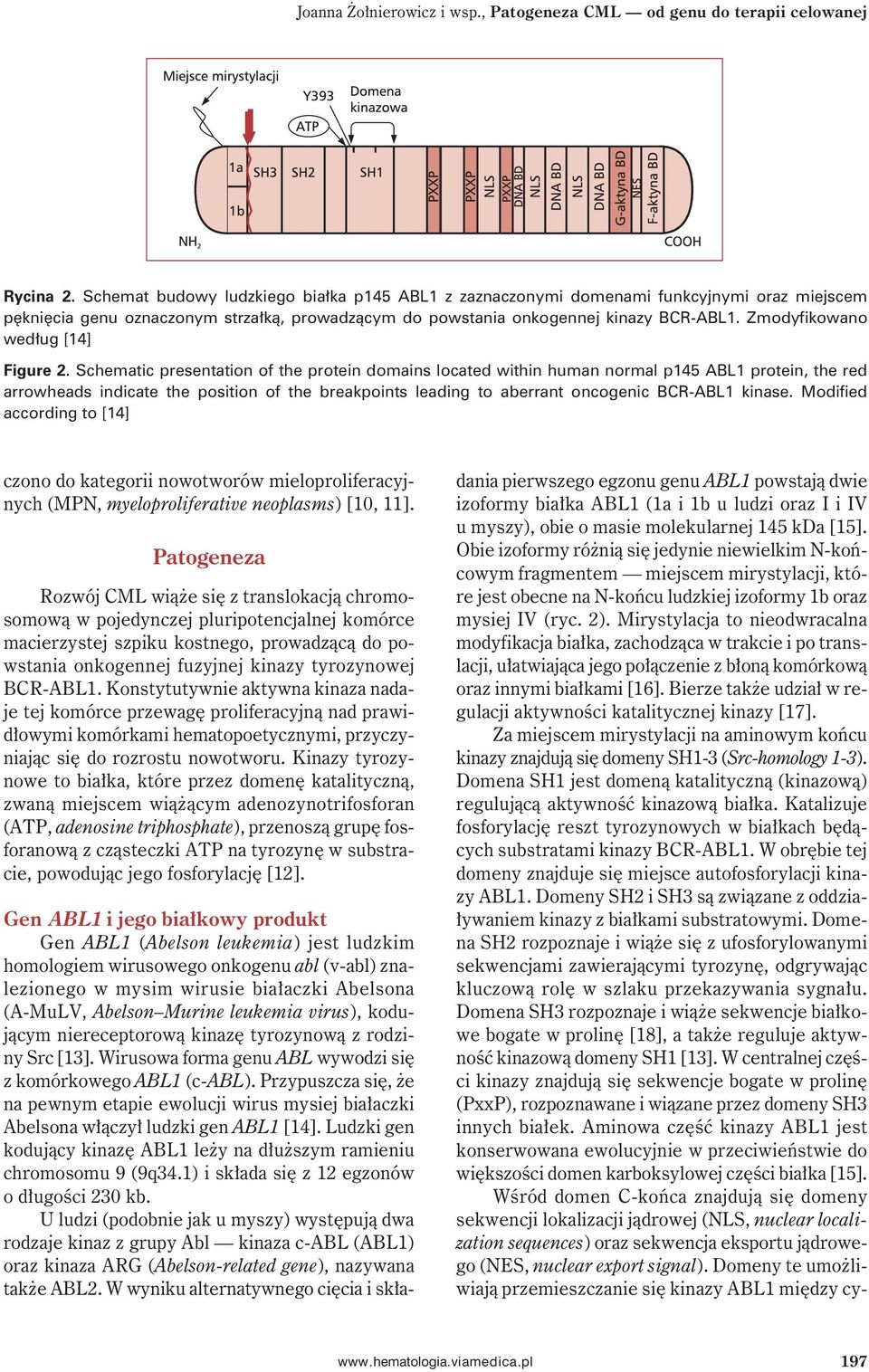 Zmodyfikowano według [14] Figure 2.