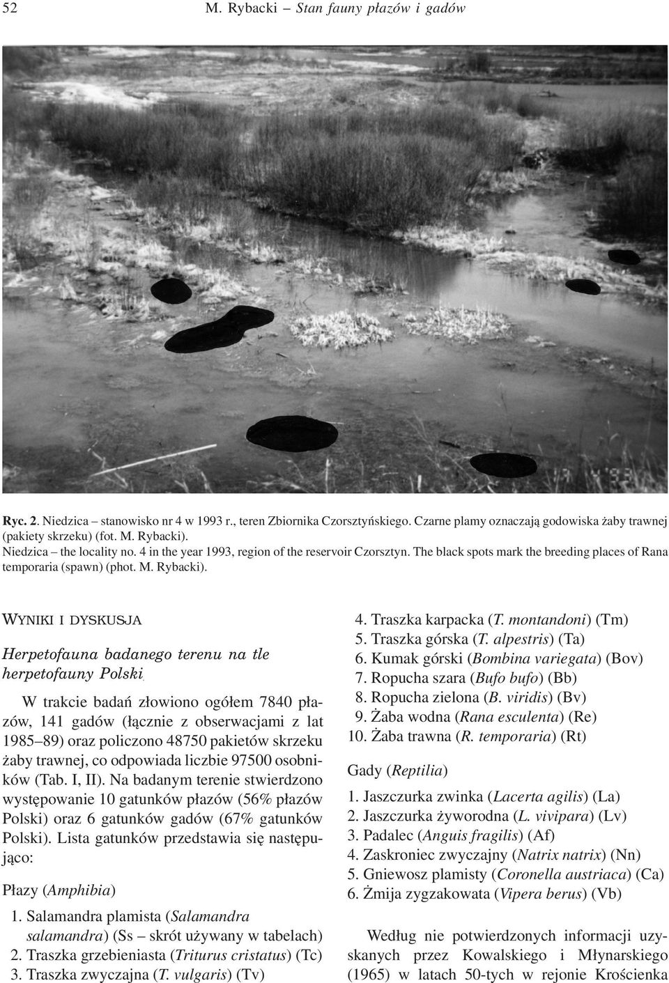 WYNIKI I DYSKUSJA Herpetofauna badanego terenu na tle herpetofauny Polski W trakcie badan złowiono ogółem 7840 płazów, 141 gadów (ła cznie z obserwacjami z lat 1985 89) oraz policzono 48750 pakietów