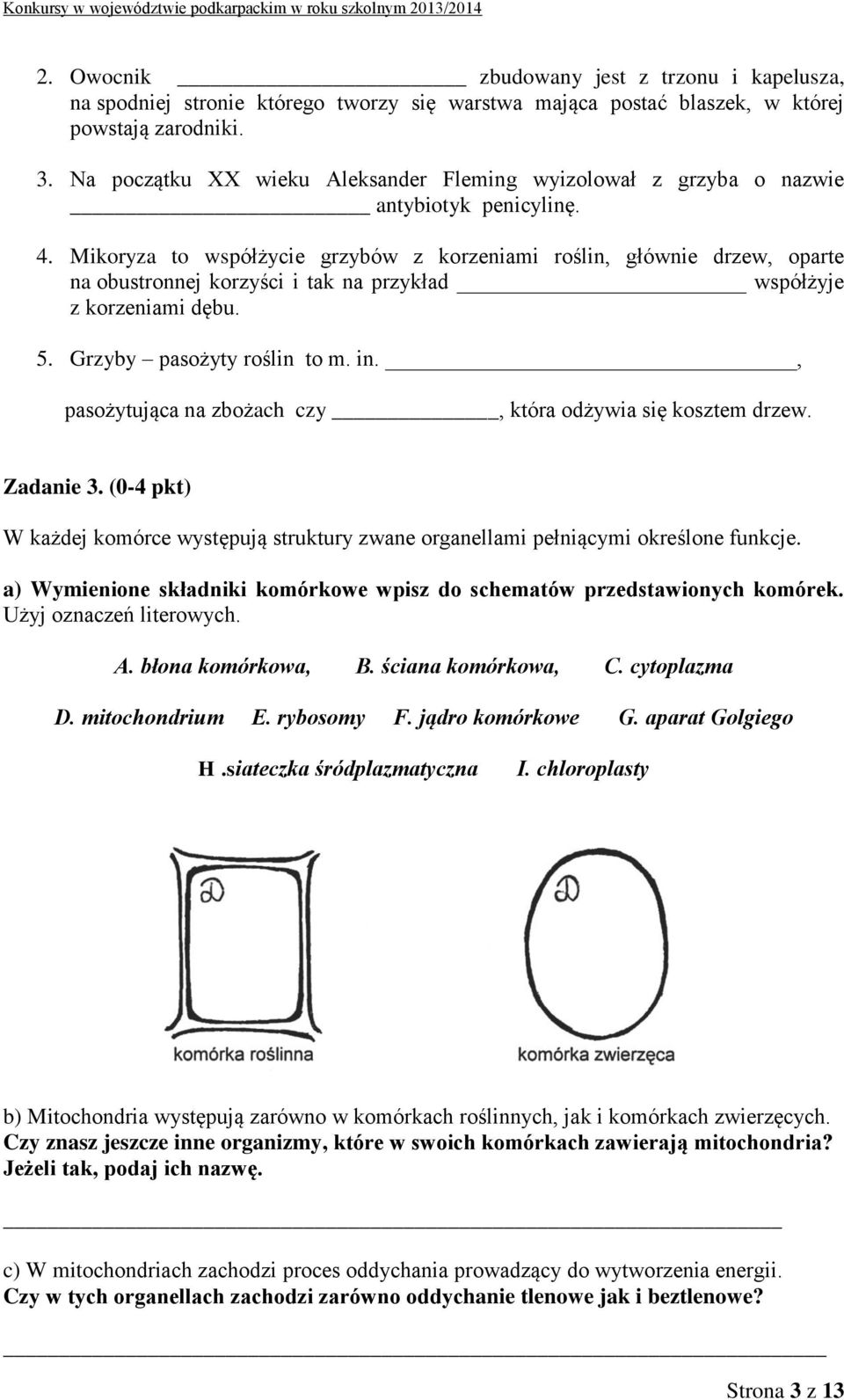 Mikoryza to współżycie grzybów z korzeniami roślin, głównie drzew, oparte na obustronnej korzyści i tak na przykład współżyje z korzeniami dębu. 5. Grzyby pasożyty roślin to m. in.