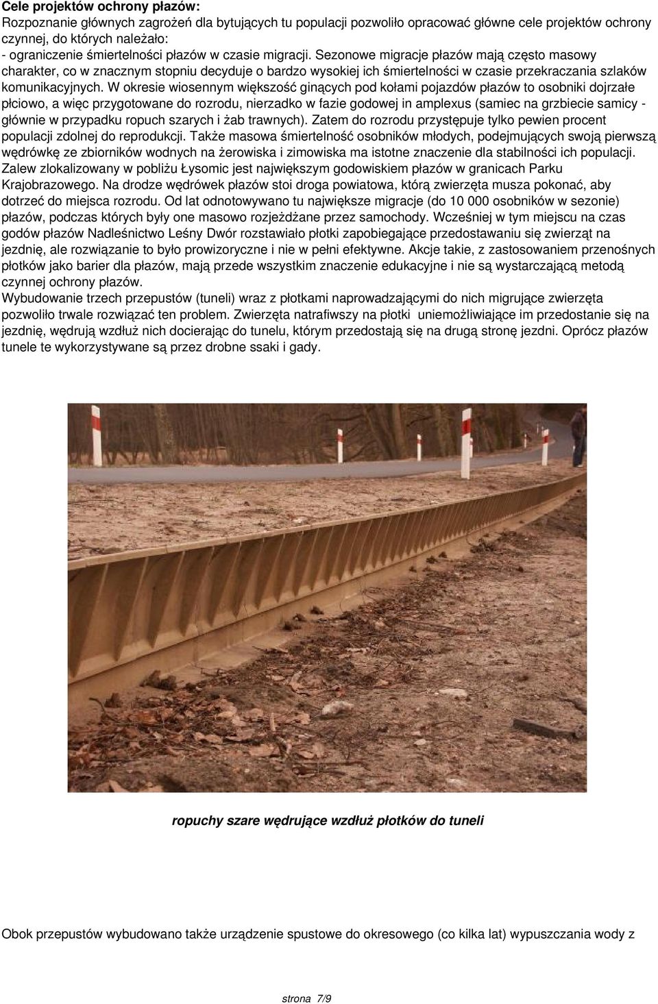 W okresie wiosennym większość ginących pod kołami pojazdów płazów to osobniki dojrzałe płciowo, a więc przygotowane do rozrodu, nierzadko w fazie godowej in amplexus (samiec na grzbiecie samicy