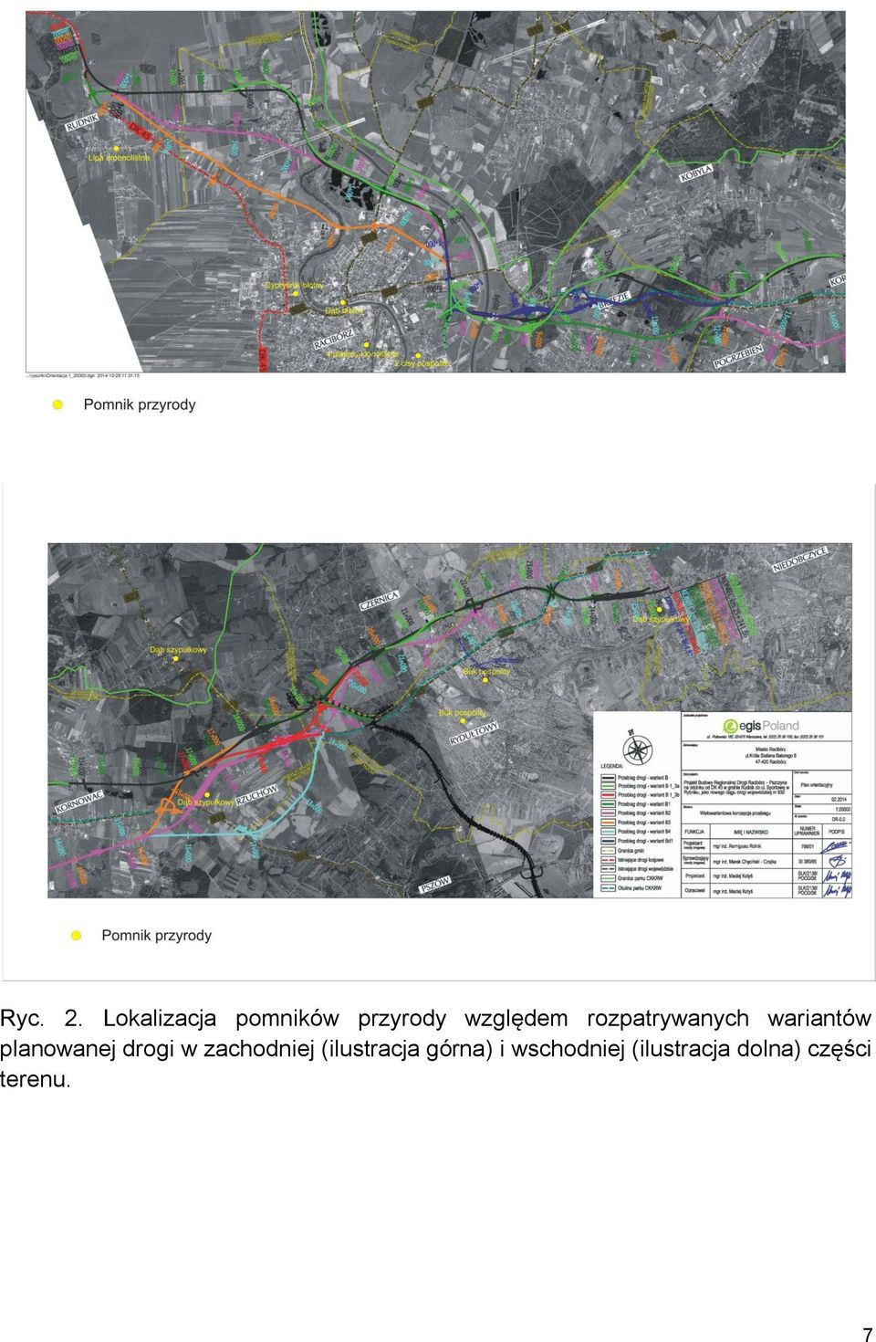 rozpatrywanych wariantów planowanej drogi