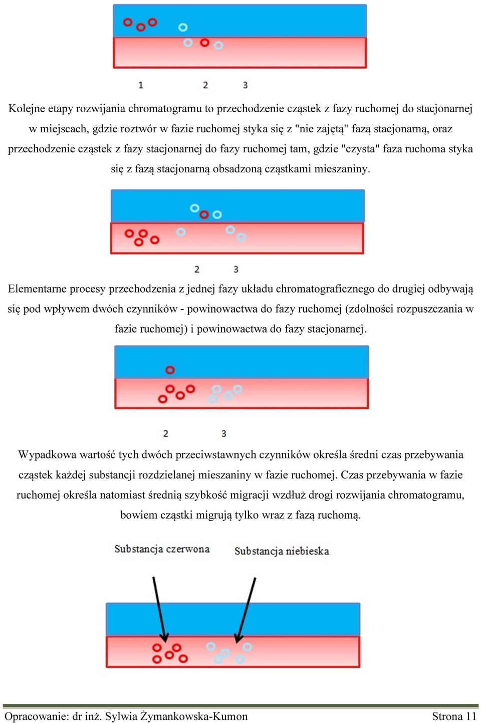 Elementarne procesy przechodzenia z jednej fazy układu chromatograficznego do drugiej odbywają się pod wpływem dwóch czynników - powinowactwa do fazy ruchomej (zdolności rozpuszczania w fazie