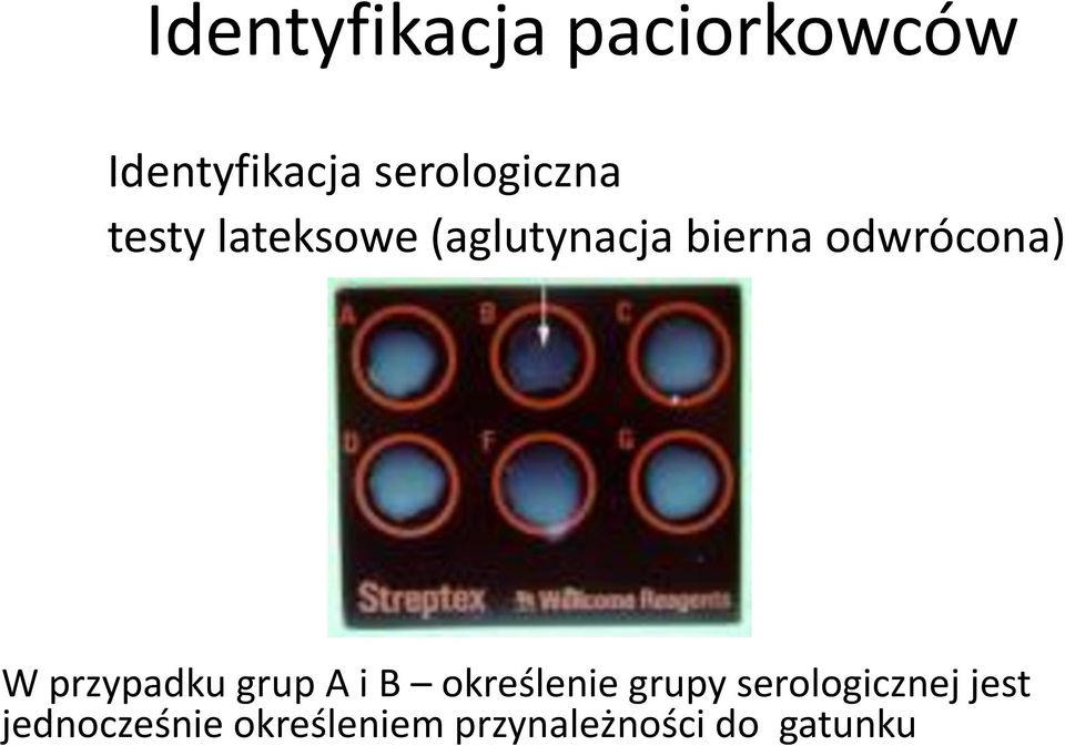 odwrócona) W przypadku grup A i B określenie grupy