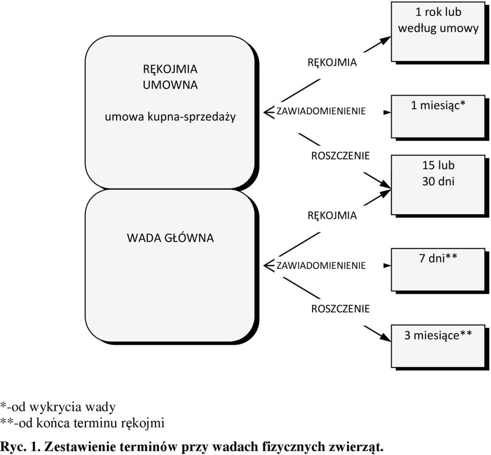 ZAWIADOMIENIENIE 7 dni** 3 miesiące** *-od wykrycia wady **-od