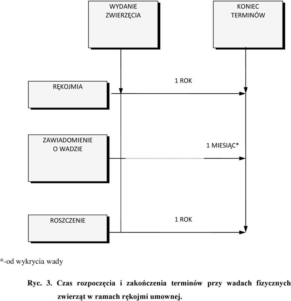 wykrycia wady Ryc. 3.