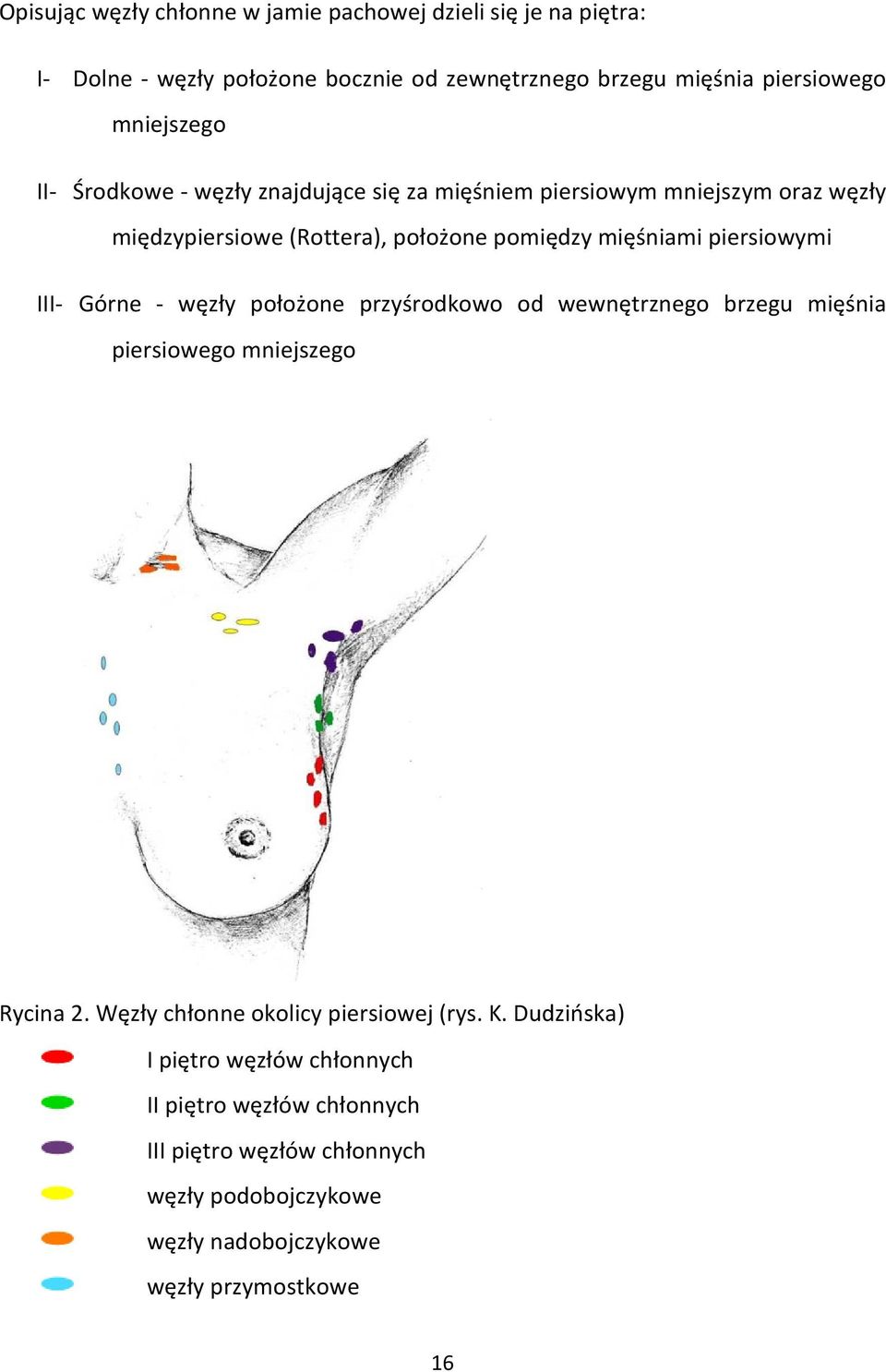 piersiowymi III- Górne - węzły położone przyśrodkowo od wewnętrznego brzegu mięśnia piersiowego mniejszego Rycina 2.