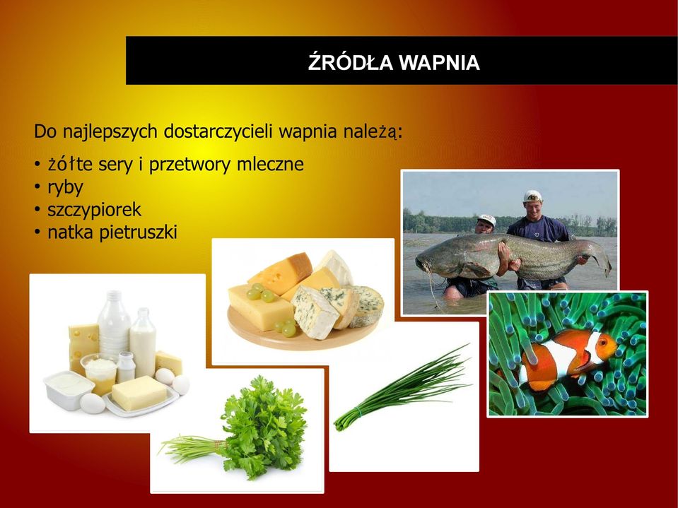 wapnia należą: żółte sery i