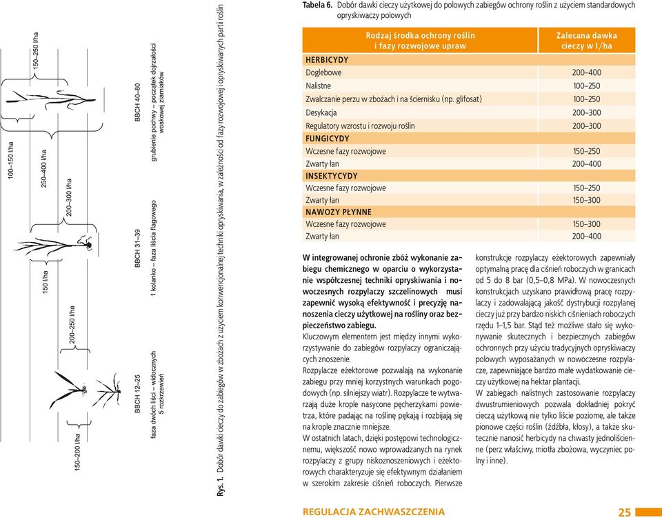 l/ha Doglebowe 200 400 Nalistne 100 250 Zwalczanie perzu w zbożach i na ściernisku (np.