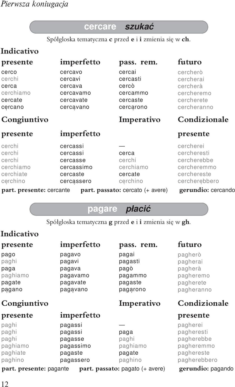 cerchi cerchiamo cerchiate cẹrchino cercassi cercassi cercasse cercassimo cercaste cercạssero cerca cerchi cerchiamo cercate cẹrchino cercherei cercheresti cercherebbe cercheremmo cerchereste