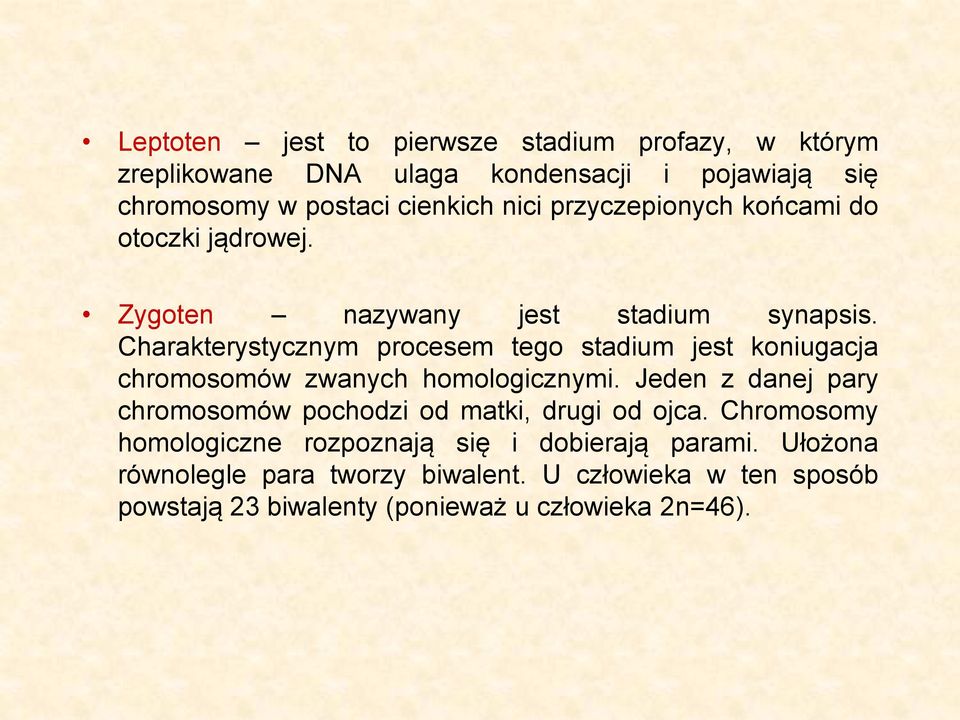 Charakterystycznym procesem tego stadium jest koniugacja chromosomów zwanych homologicznymi.