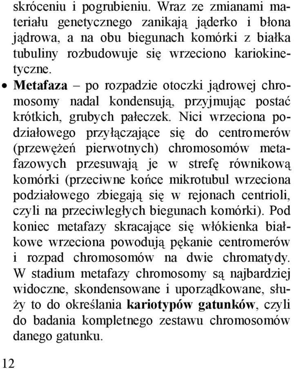 Nici wrzeciona podzia owego przy czaj ce si do centromerów (przew e pierwotnych) chromosomów metafazowych przesuwaj je w stref równikow komórki (przeciwne ko ce mikrotubul wrzeciona podzia owego