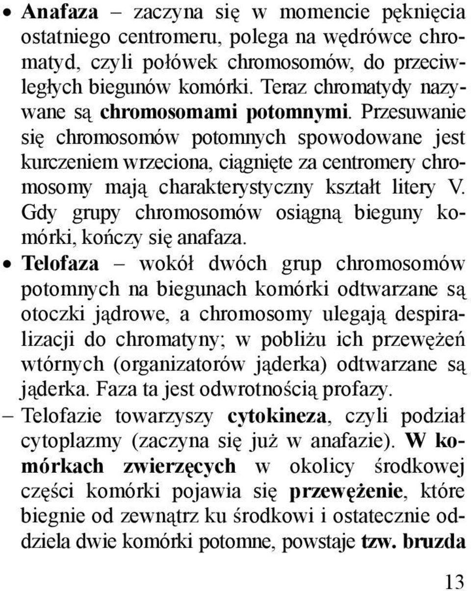 Przesuwanie si chromosomów potomnych spowodowane jest kurczeniem wrzeciona, ci gni te za centromery chromosomy maj charakterystyczny kszta t litery V.