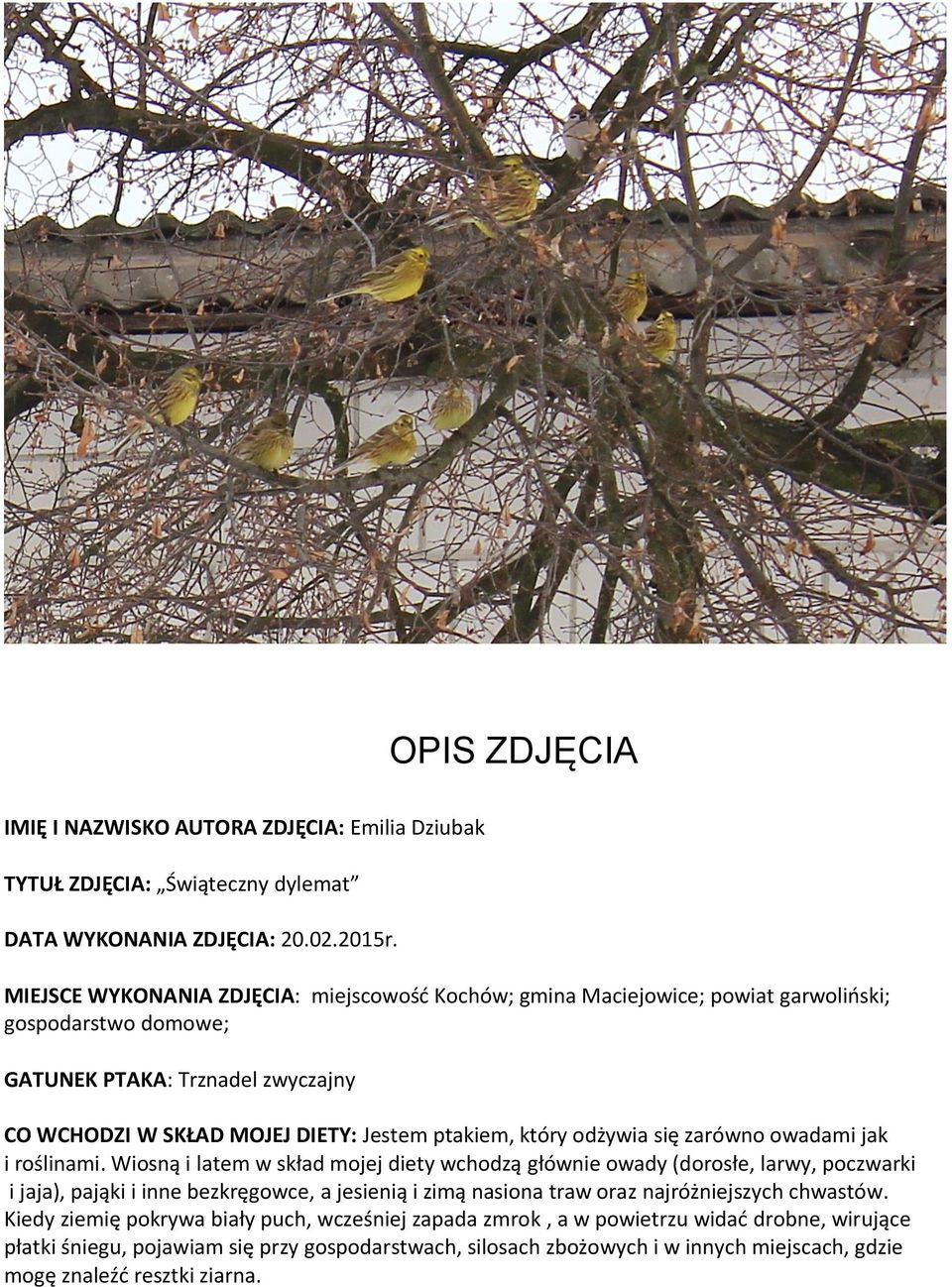który odżywia się zarówno owadami jak i roślinami.