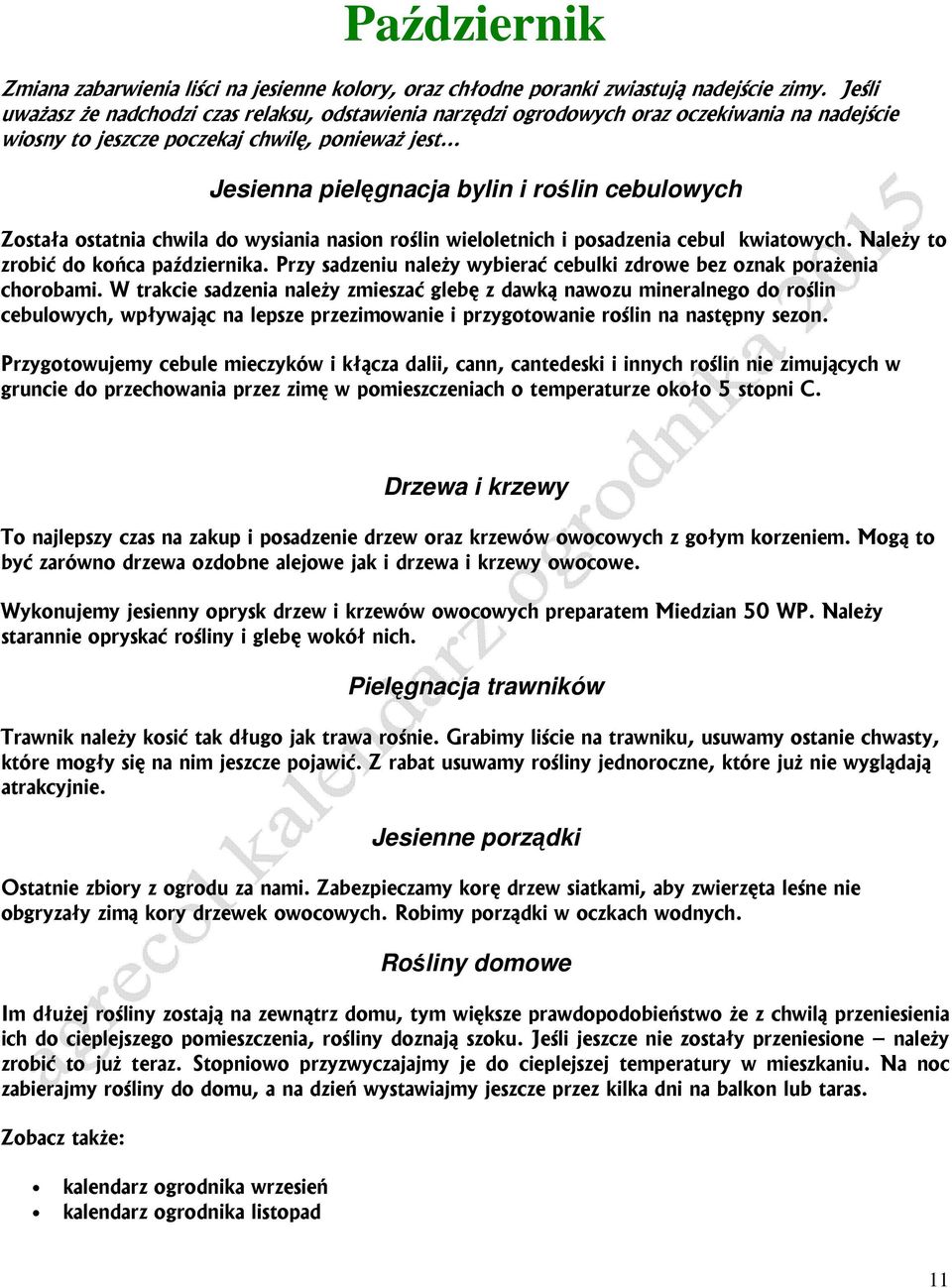 Została ostatnia chwila do wysiania nasion roślin wieloletnich i posadzenia cebul kwiatowych. Należy to zrobić do końca października.