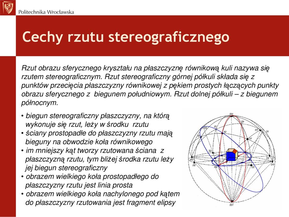 Rzut dolnej półkuli z biegunem północnym.