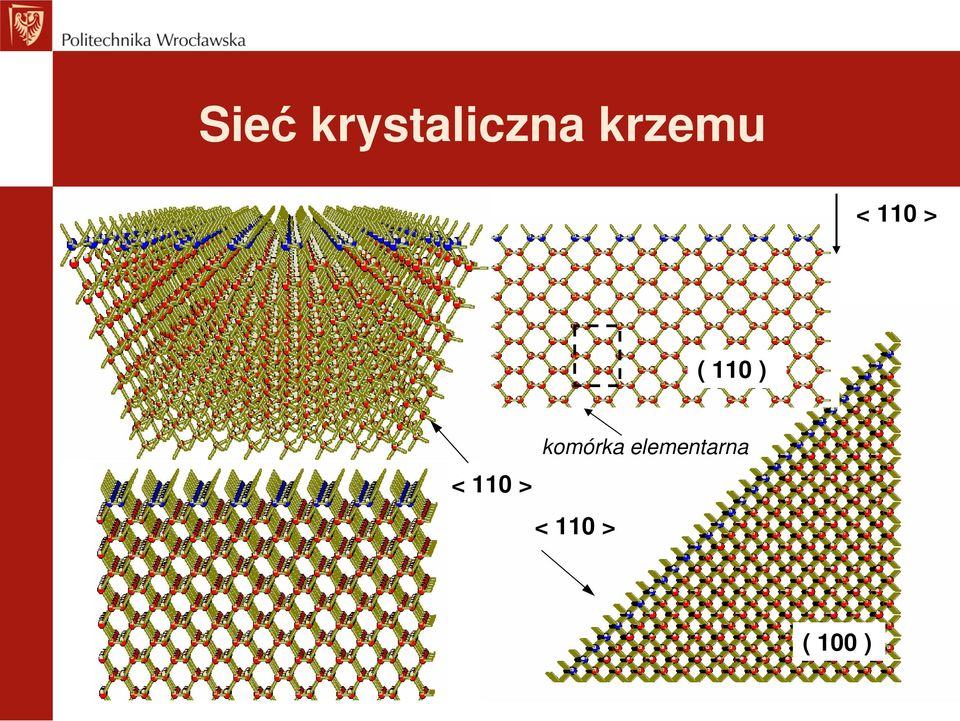 ) < 110 > komórka