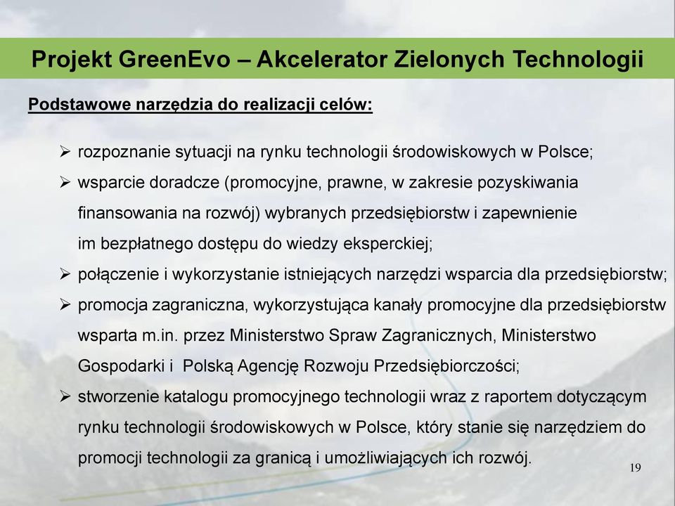 przedsiębiorstw; promocja zagraniczna, wykorzystująca kanały promocyjne dla przedsiębiorstw wsparta m.in.