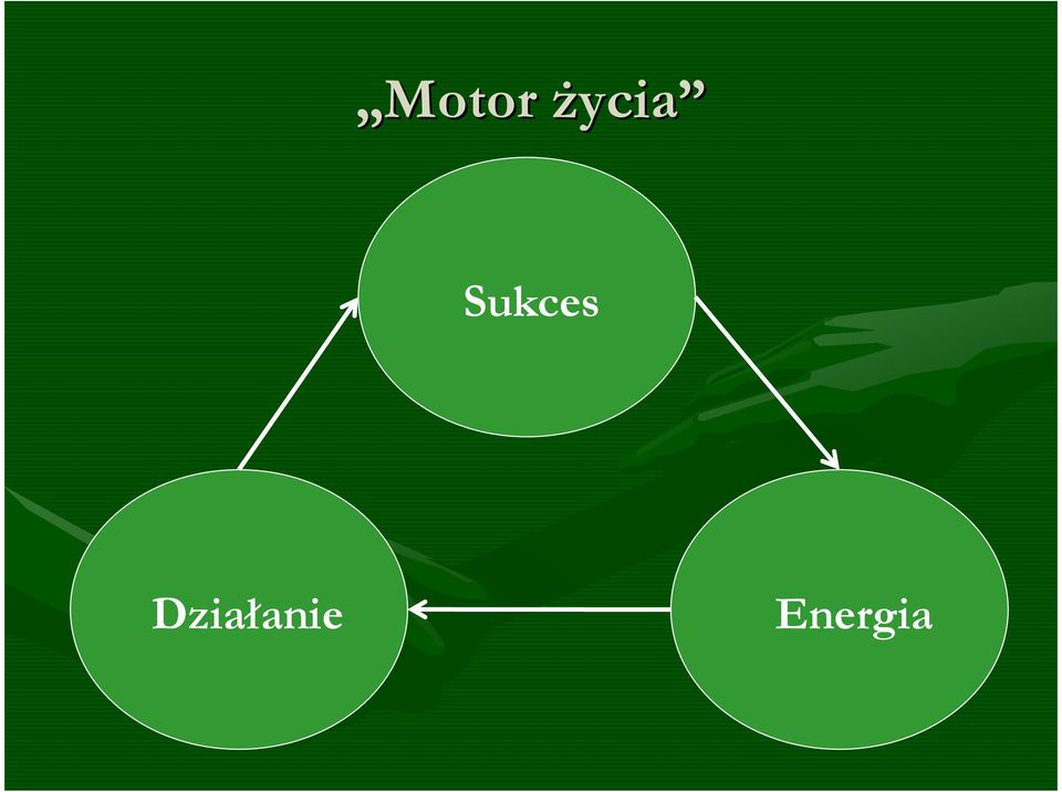 Sukces