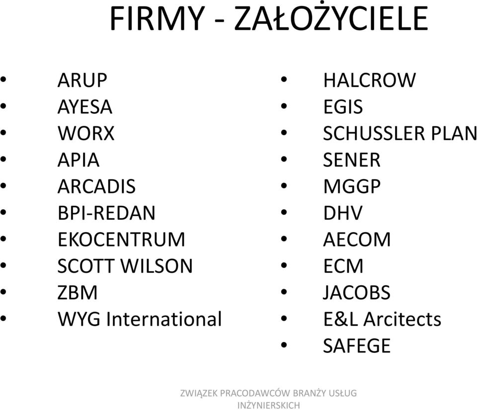 WYG International HALCROW EGIS SCHUSSLER PLAN