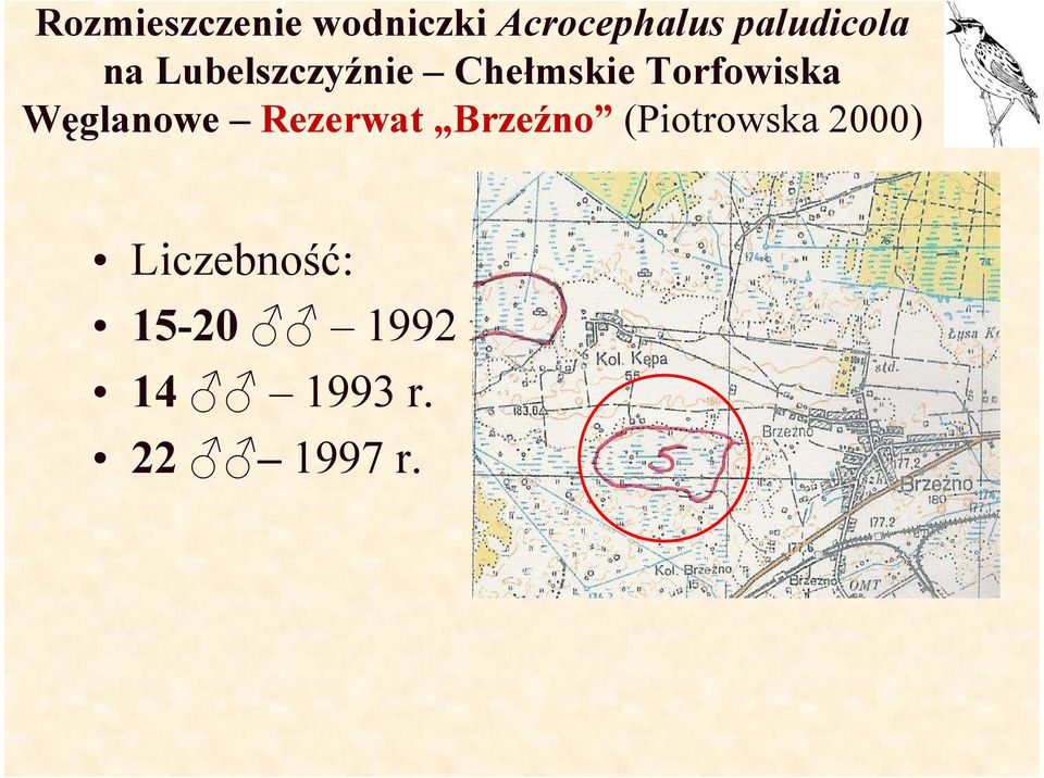 Chełmskie Torfowiska Węglanowe Rezerwat