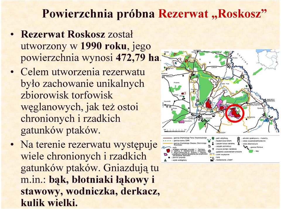 Celem utworzenia rezerwatu było zachowanie unikalnych zbiorowisk torfowisk węglanowych, jak teŝ ostoi