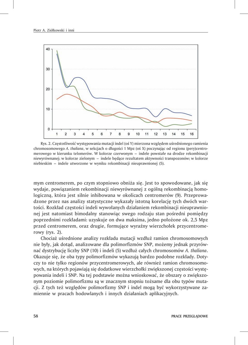 W kolorze czerwonym indele powsta³e na drodze rekombinacji niewyrównanej; w kolorze zielonym indele bêd¹ce rezultatem aktywnoœci transpozonów; w kolorze niebieskim indele utworzone w wyniku