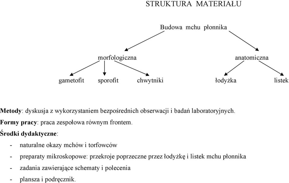 Formy pracy: praca zespołowa równym frontem.