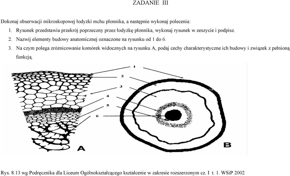 Nazwij elementy budowy anatomicznej oznaczone na rysunku od 1 do 6. 3.