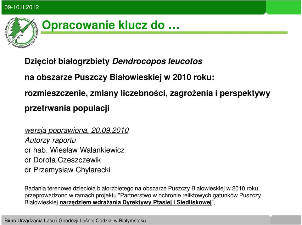 Wiesław Walankiewicz dr Dorota Czeszczewik dr Przemysław Chylarecki Badania terenowe dziecioła białorzbietego na obszarze Puszczy