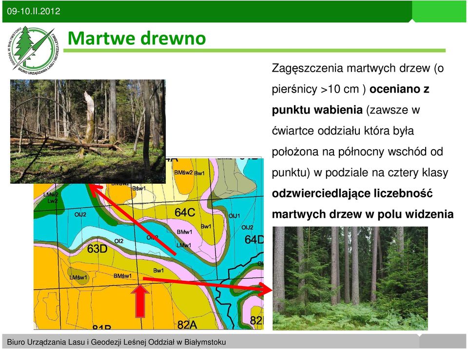 była położona na północny wschód od punktu) w podziale na