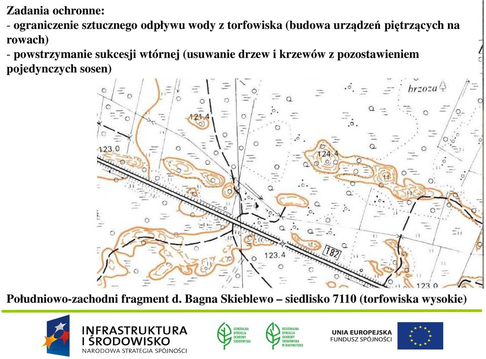 (usuwanie drzew i krzewów z pozostawieniem pojedynczych sosen)