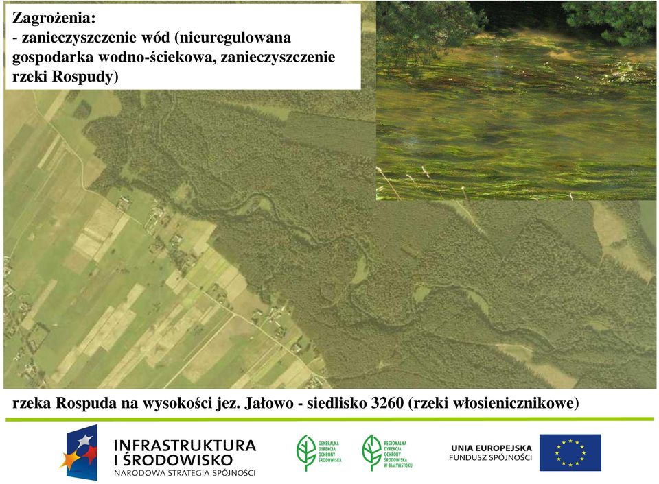 zanieczyszczenie rzeki Rospudy) rzeka Rospuda