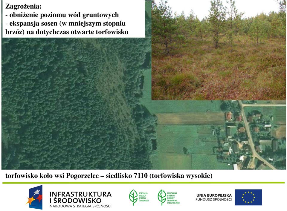 dotychczas zabudowa brzegów otwarte torfowisko połączona z niszczeniem szuwarów) - zarybianie