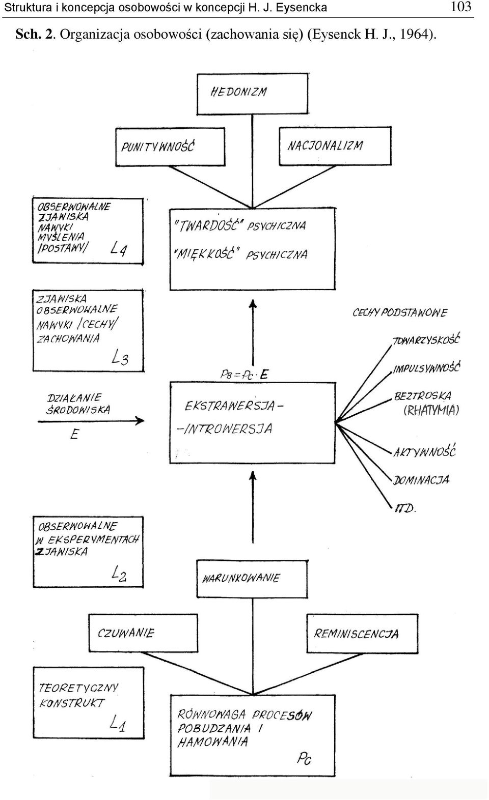 Organizacja osobowości (zachowania