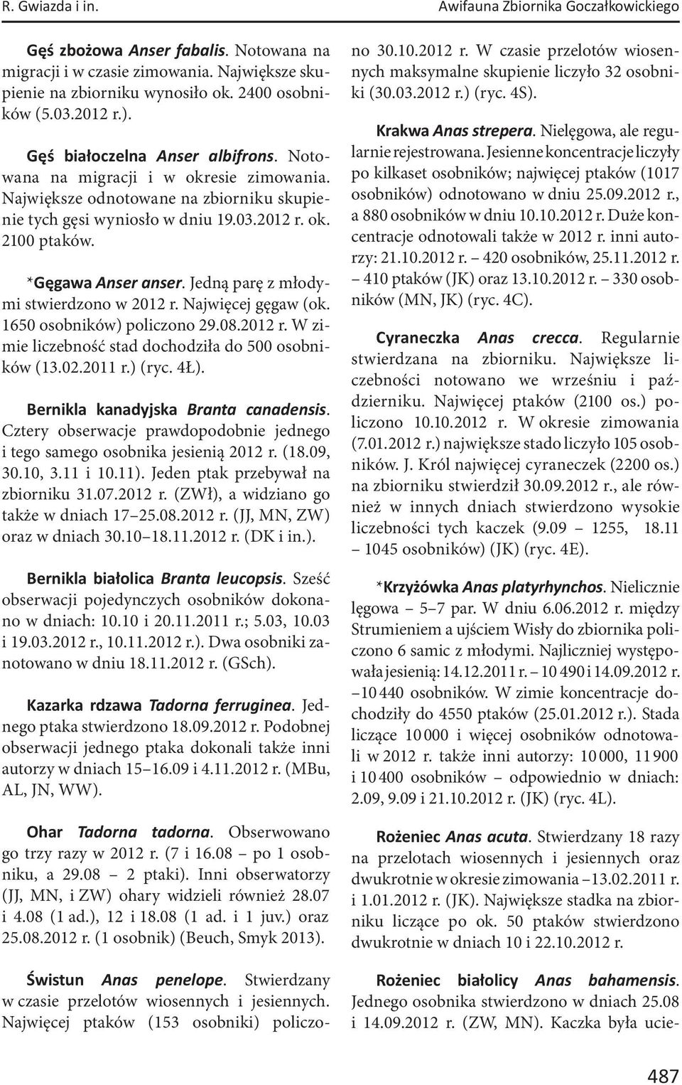 Jedną parę z młodymi stwierdzono w 2012 r. Najwięcej gęgaw (ok. 1650 osobników) policzono 29.08.2012 r. W zimie liczebność stad dochodziła do 500 osobników (13.02.2011 r.) (ryc. 4Ł).